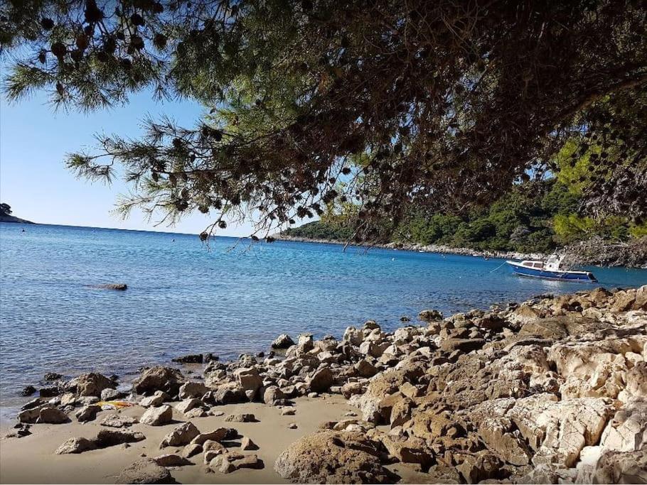 Apartment Kristic - Saplunara, Mljet Babino Polje Exterior photo